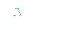 Bruno logo